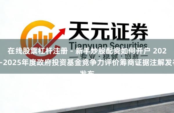 在线股票杠杆注册 - 新手炒股配资如何开户 2024-2025年度政府投资基金竞争力评价筹商证据注解发布