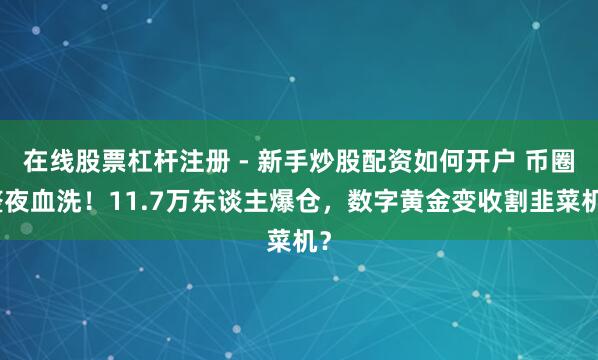 在线股票杠杆注册 - 新手炒股配资如何开户 币圈整夜血洗！11.7万东谈主爆仓，数字黄金变收割韭菜机？