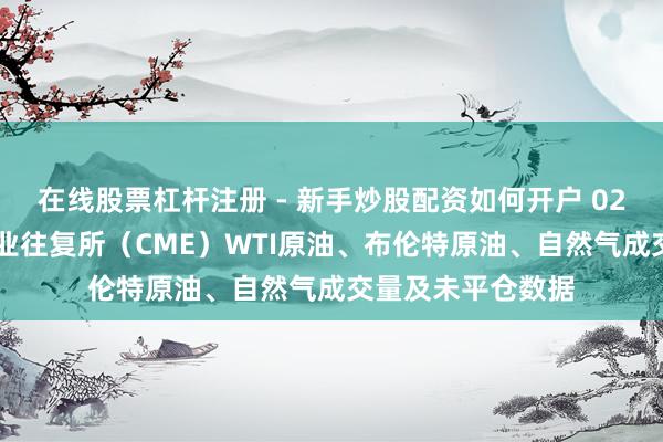 在线股票杠杆注册 - 新手炒股配资如何开户 02月17日芝加哥营业往复所（CME）WTI原油、布伦特原油、自然气成交量及未平仓数据