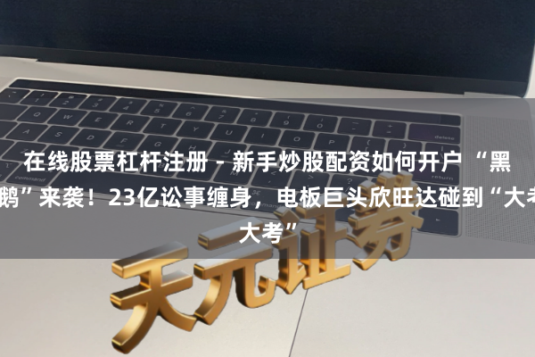 在线股票杠杆注册 - 新手炒股配资如何开户 “黑天鹅”来袭！23亿讼事缠身，电板巨头欣旺达碰到“大考”