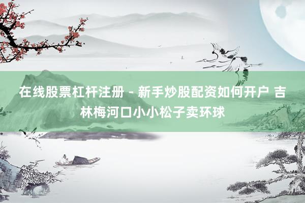 在线股票杠杆注册 - 新手炒股配资如何开户 吉林梅河口小小松子卖环球
