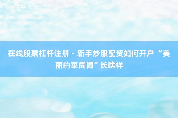 在线股票杠杆注册 - 新手炒股配资如何开户 “美丽的菜阛阓”长啥样