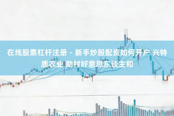 在线股票杠杆注册 - 新手炒股配资如何开户 兴特质农业 助村好意思东谈主和